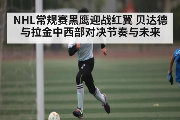 NHL常规赛黑鹰迎战红翼 贝达德与拉金中西部对决节奏与未来